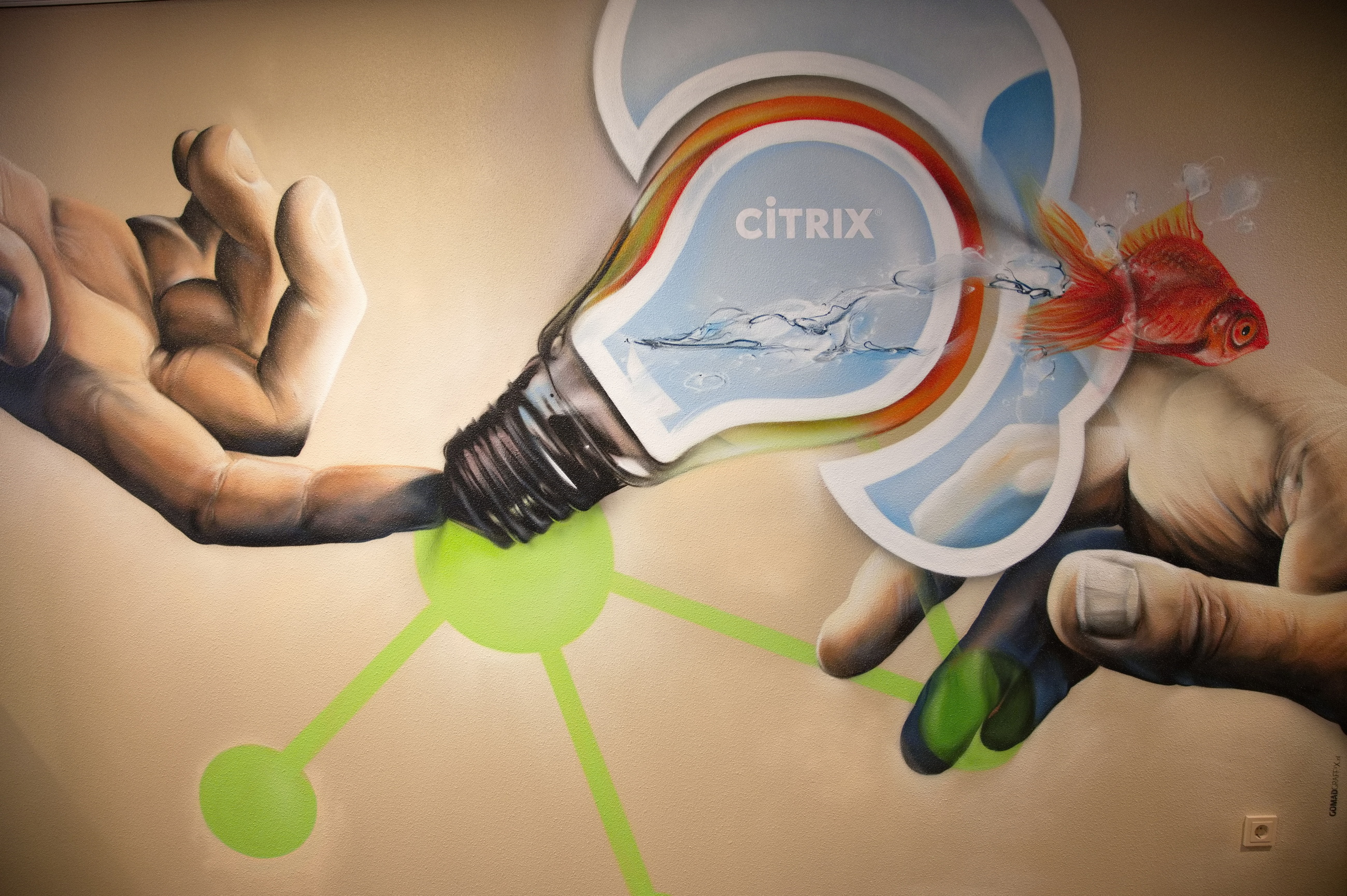 Senior Java Developer